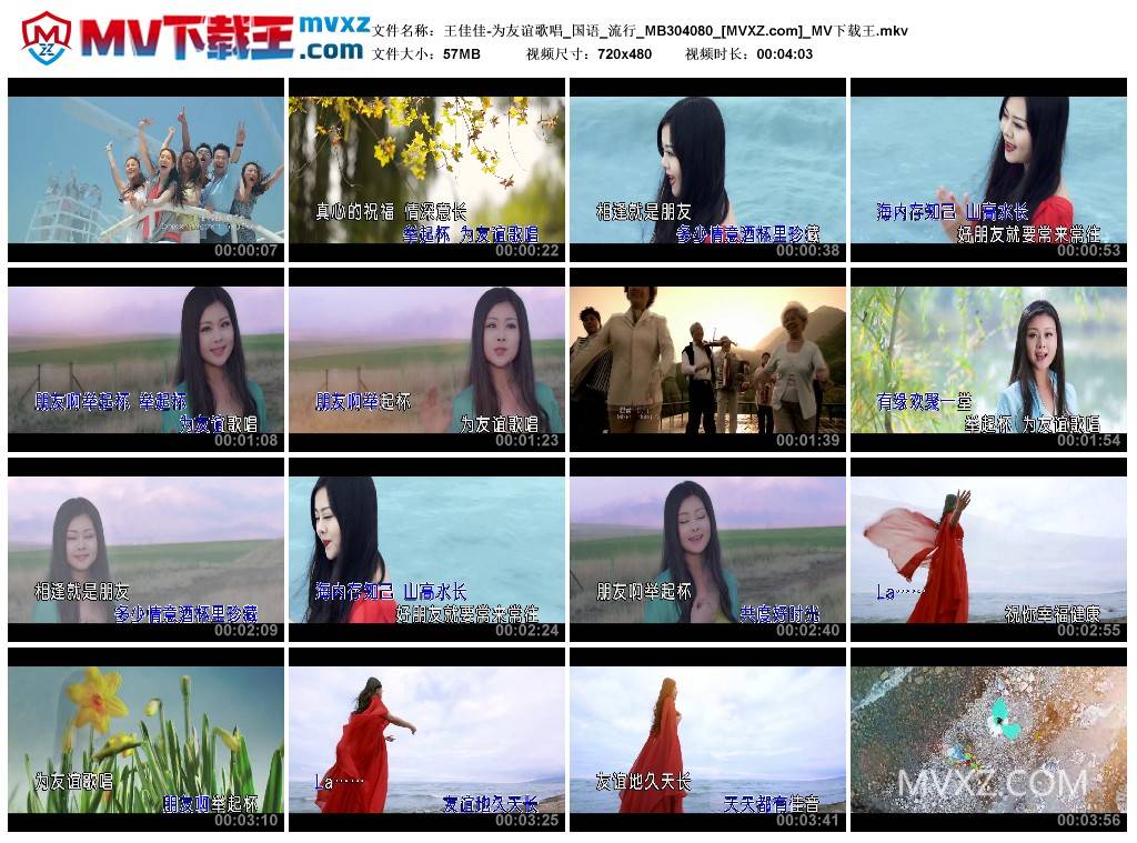 王佳佳-为友谊歌唱_国语_流行_MB304080